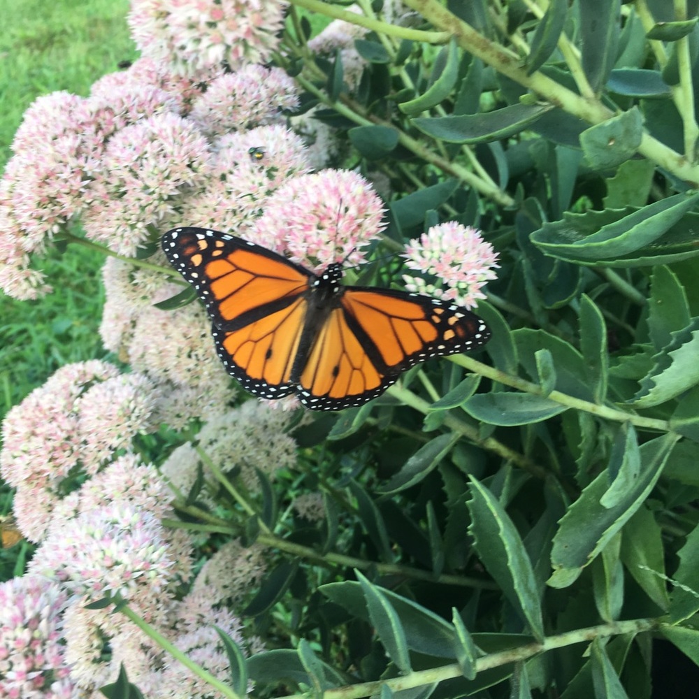 ♥️ Bookmark to come back again & again ❤️